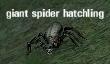 Picture of Giant Spider Hatchling
